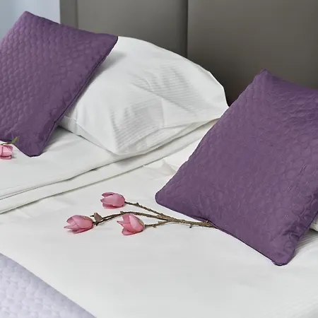 Jana Pawla Ii With Free Parking By Renters Διαμέρισμα Βρότσλαβ